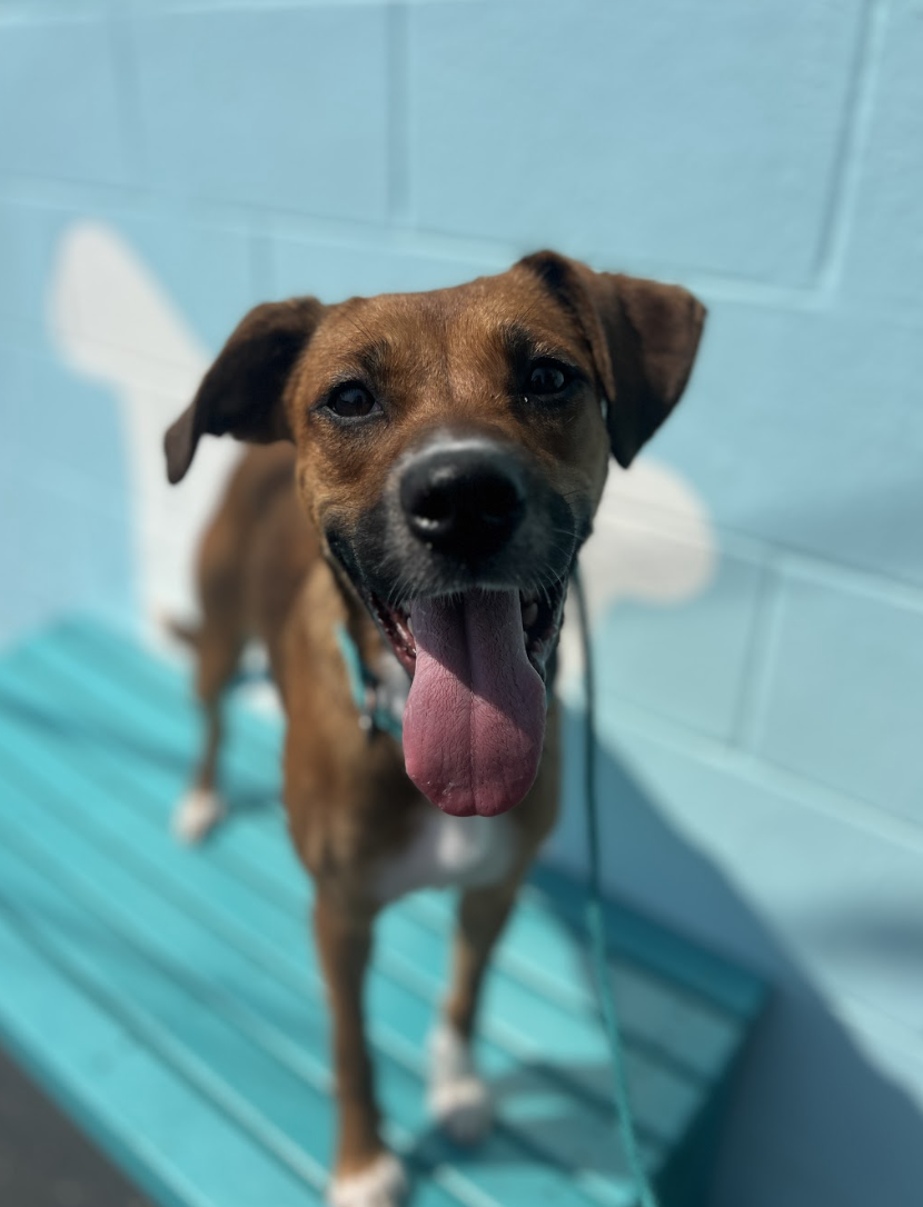 Screenshot 2026-04-13 at 2.55.50 PM.png