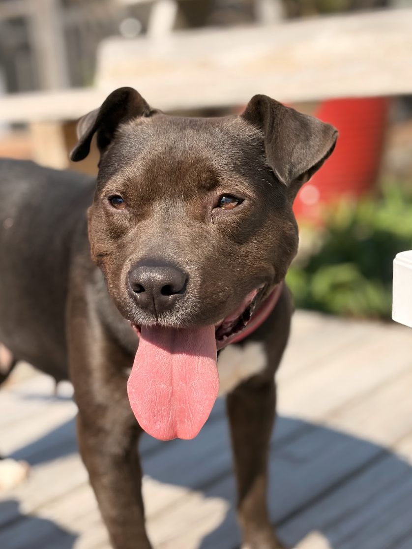 Screenshot 2026-03-25 at 4.53.02 PM.png