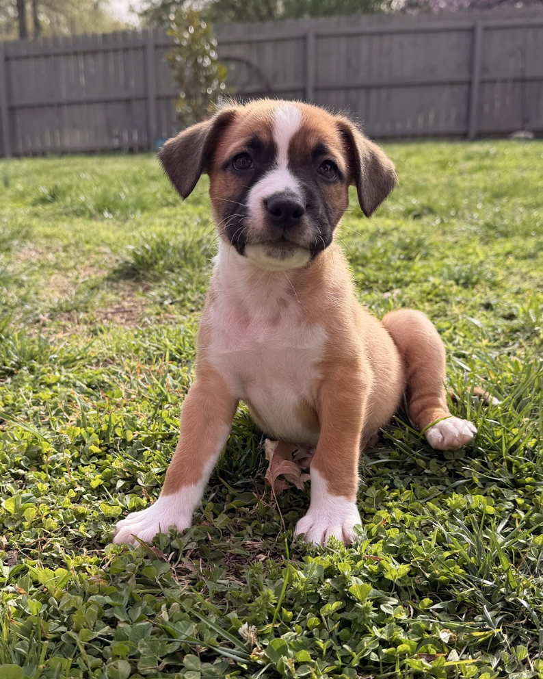 Screenshot 2026-03-27 at 7.40.32 PM.png