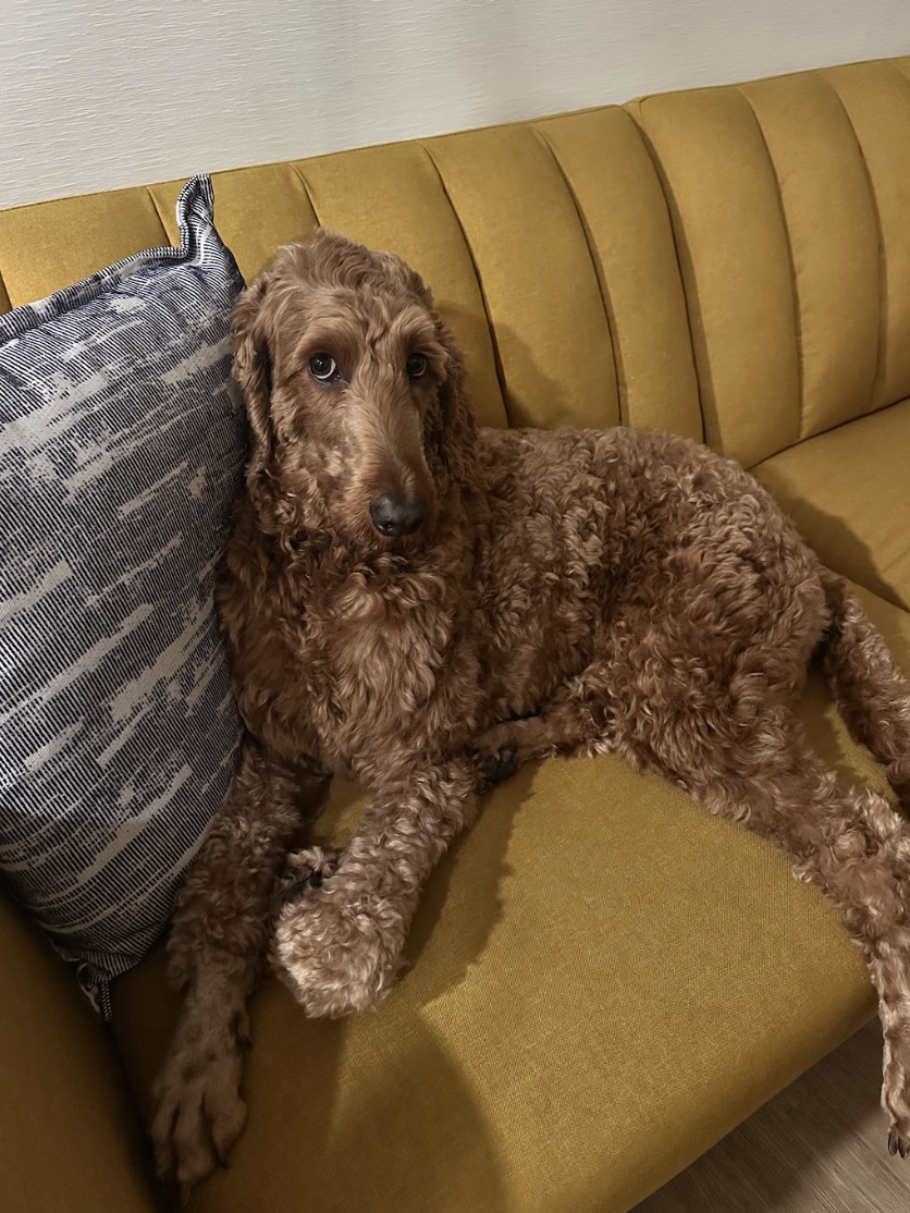 Screenshot 2026-04-08 at 3.51.15 PM.png