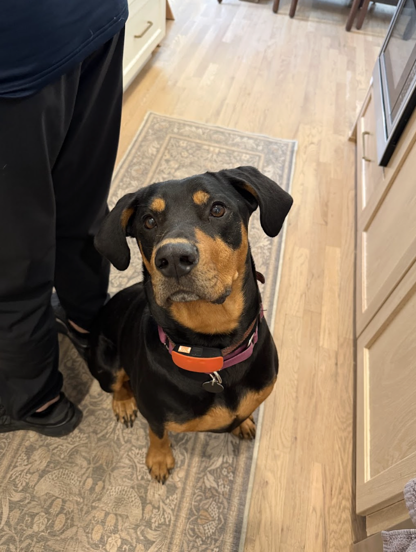 Screenshot 2026-04-03 at 3.12.01 PM.png