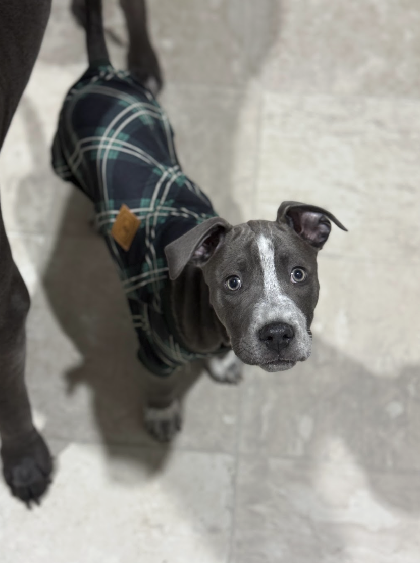 Screenshot 2026-01-08 at 1.30.08 PM.png