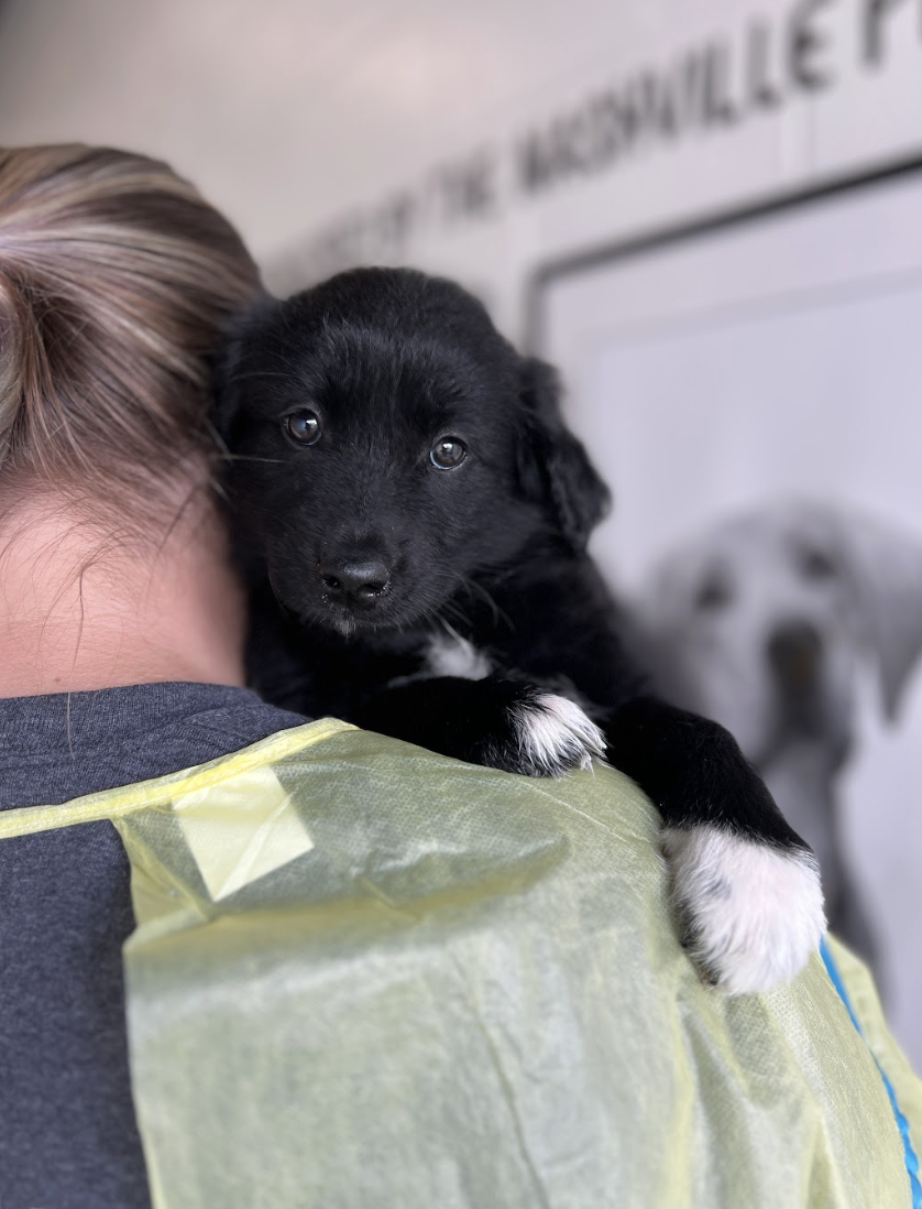 Screenshot 2026-04-16 at 4.15.13 PM.png