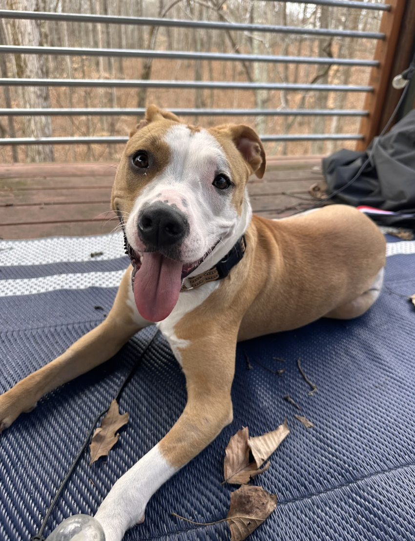 Screenshot 2026-03-06 at 2.36.40 PM.png