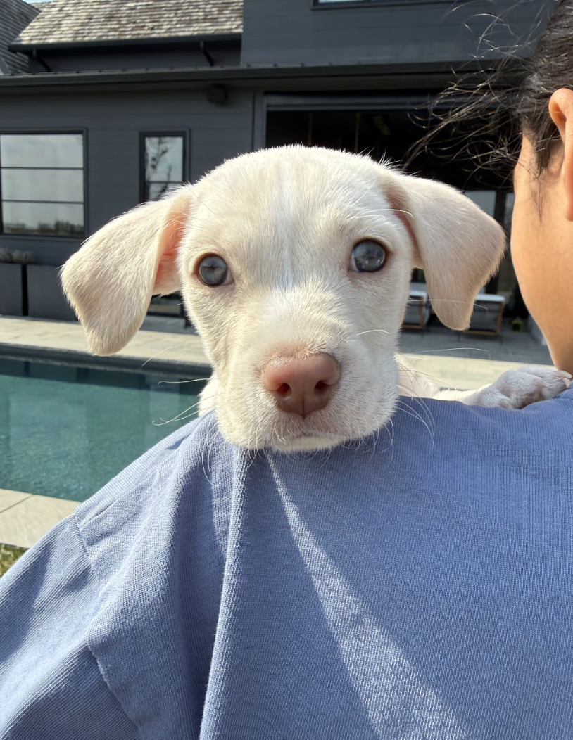 Screenshot 2026-03-10 at 8.56.09 PM.png