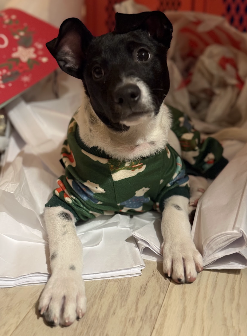 Screenshot 2025-12-26 at 4.41.21 PM.png