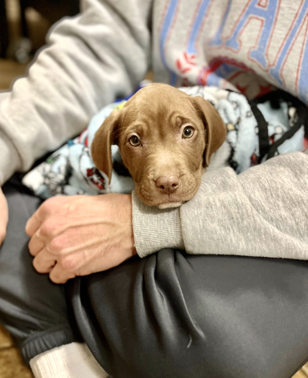 Screenshot 2025-12-31 at 1.27.02 PM.png