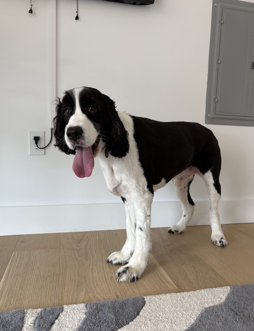 Screenshot 2026-04-06 at 1.15.56 PM.png