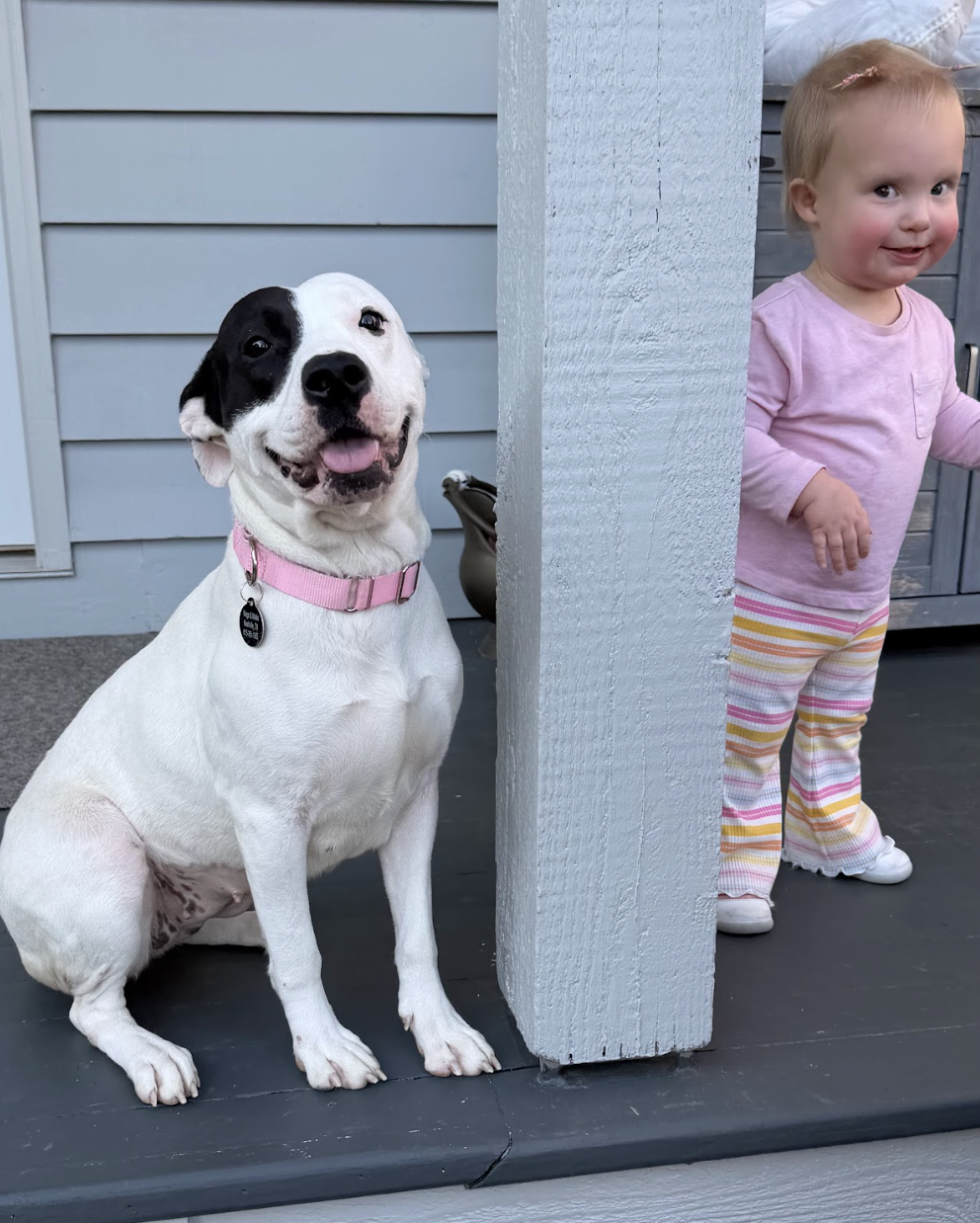 Screenshot 2026-02-16 at 6.16.04 PM.png