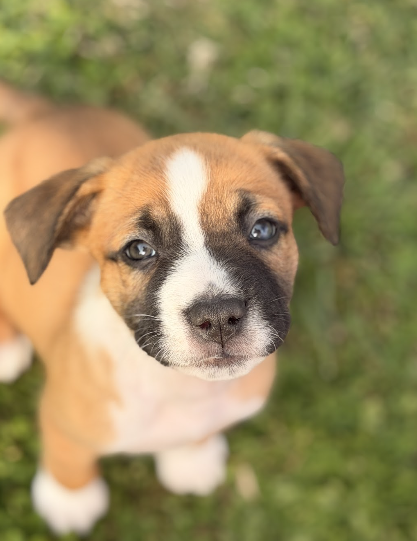 Screenshot 2026-03-27 at 7.40.37 PM.png