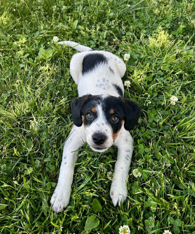 Screenshot 2026-04-23 at 7.12.26 PM.png