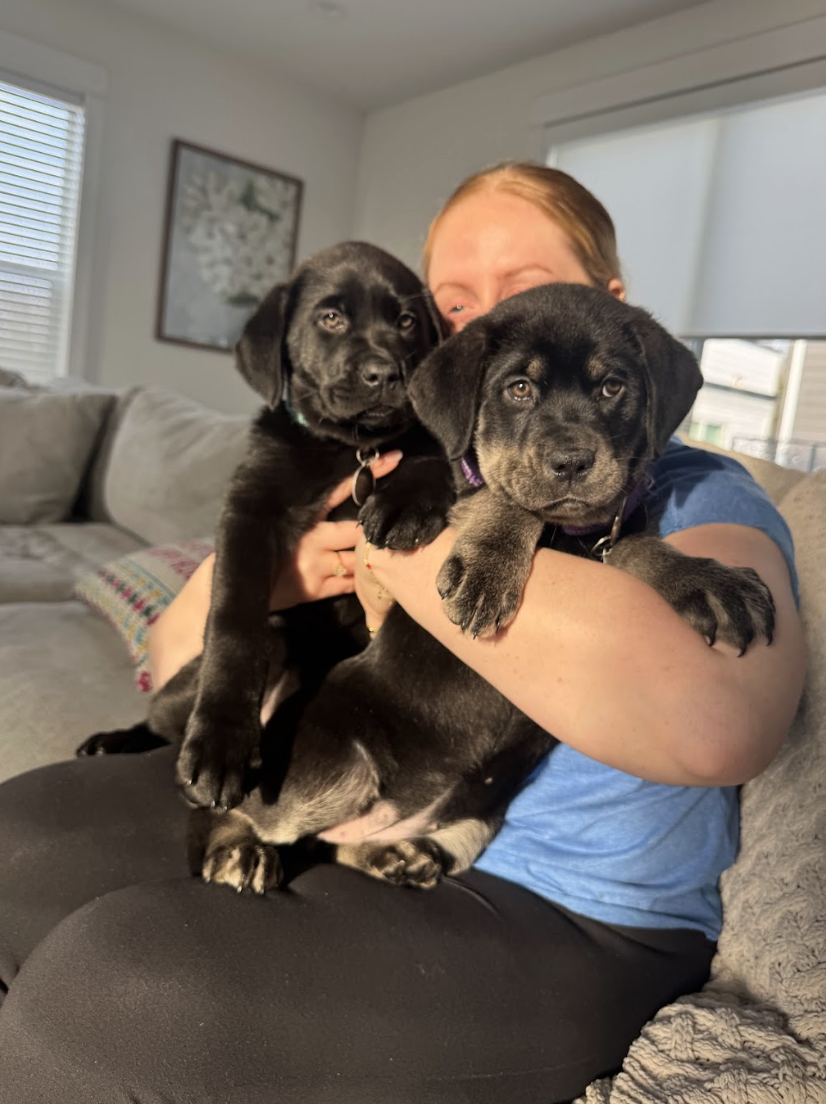 Screenshot 2026-02-24 at 1.00.25 PM.png