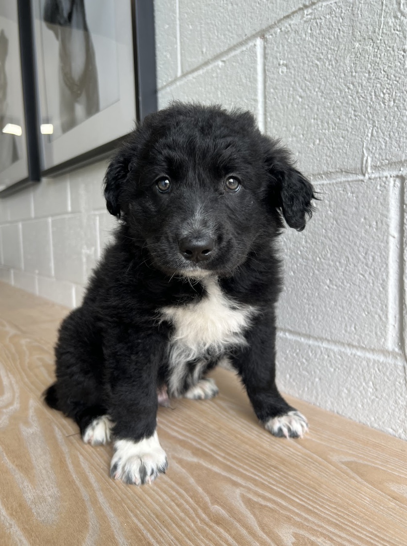 Screenshot 2026-04-16 at 4.12.22 PM.png