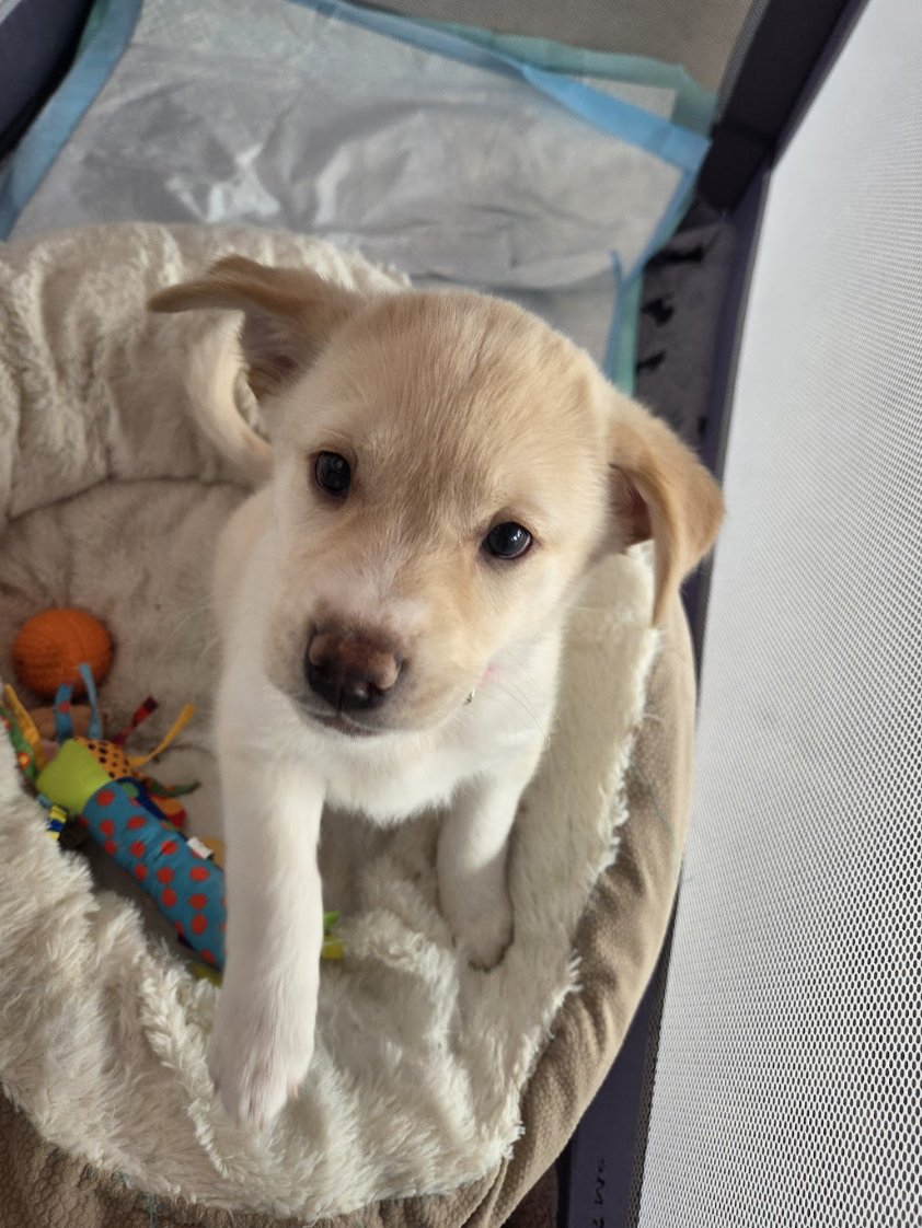 Screenshot 2026-01-14 at 6.35.34 PM.png