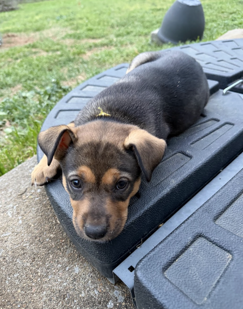 Screenshot 2026-04-07 at 5.08.06 PM.png