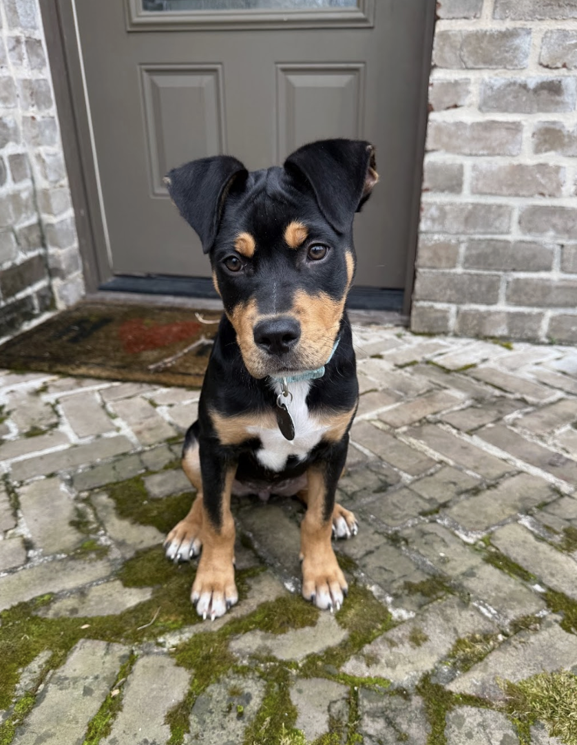 Screenshot 2026-02-27 at 2.14.32 PM.png