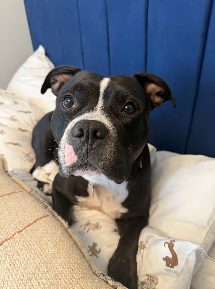 Screenshot 2026-02-26 at 2.21.52 PM.png