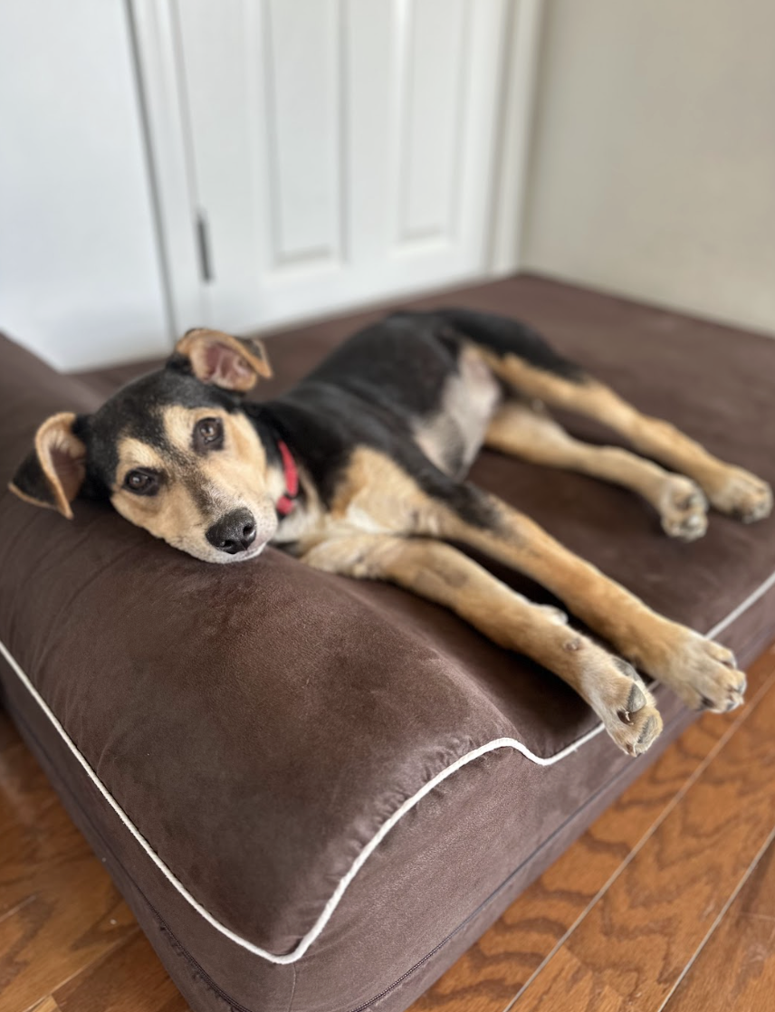 Screenshot 2026-04-03 at 1.04.48 PM.png