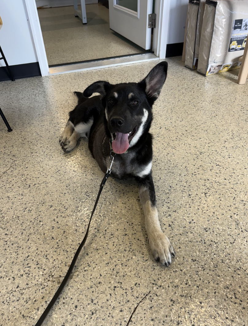 Screenshot 2026-04-22 at 2.31.05 PM.png