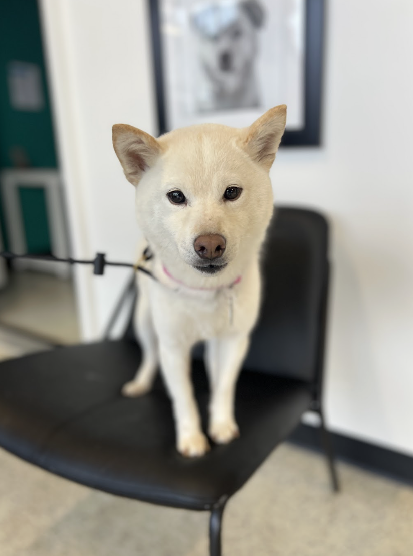 Screenshot 2026-03-21 at 2.07.42 PM.png