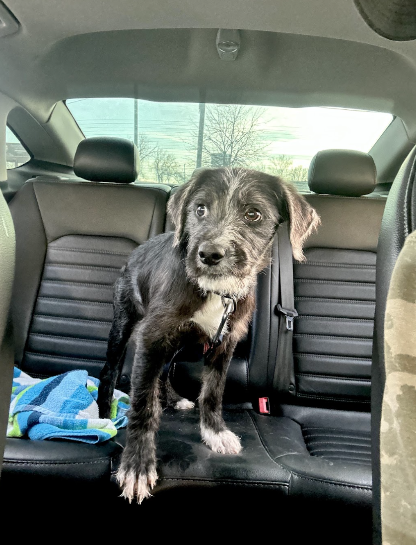 Screenshot 2026-02-13 at 4.55.20 PM.png