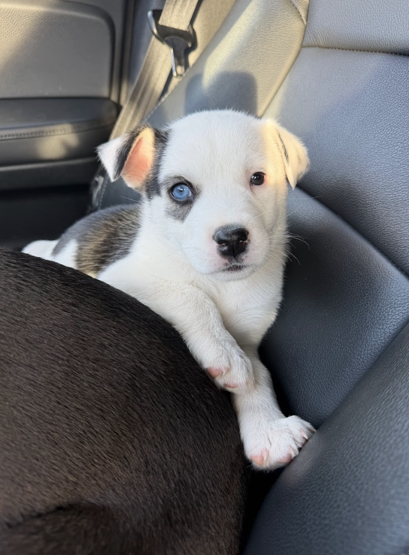 Screenshot 2026-01-15 at 7.44.06 PM.png