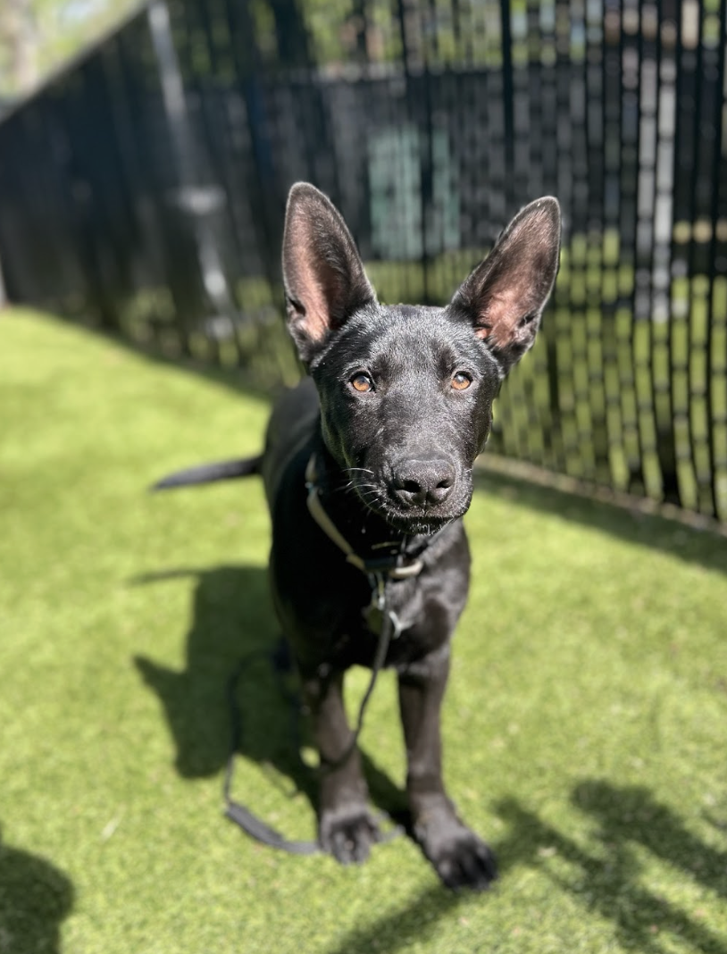 Screenshot 2026-04-09 at 6.44.40 PM.png