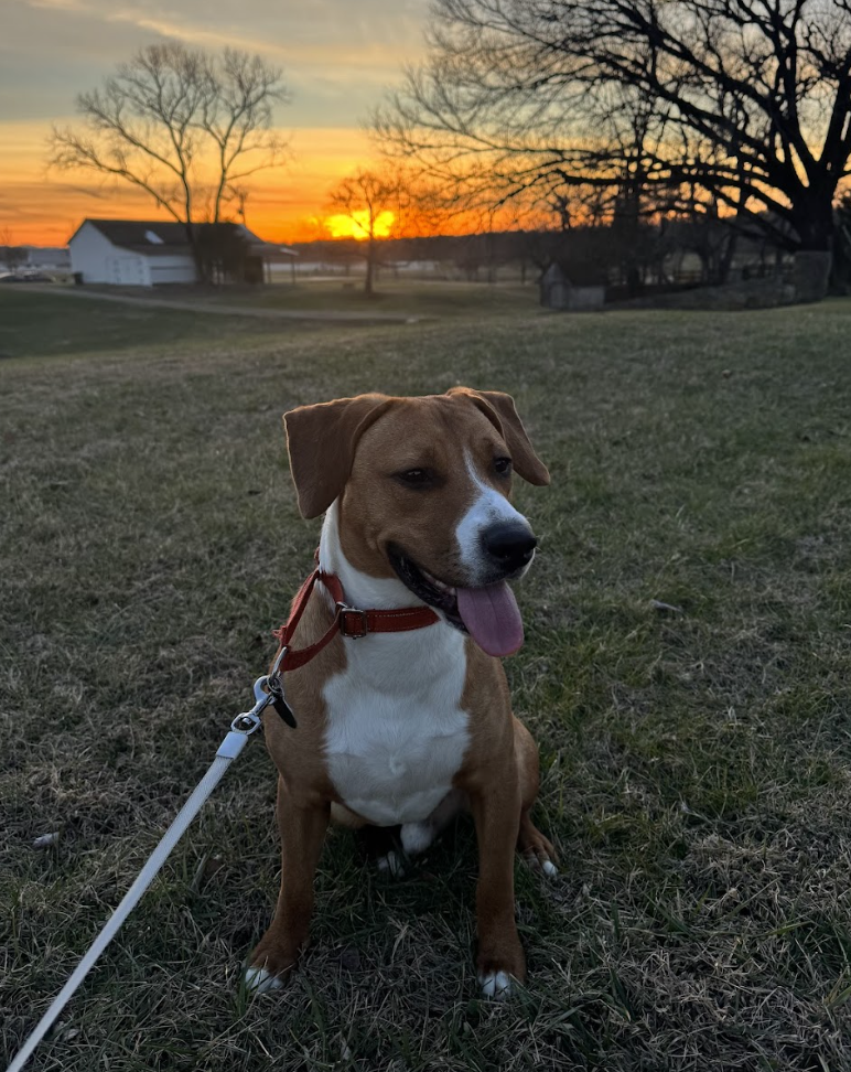 Screenshot 2026-03-20 at 4.10.32 PM.png