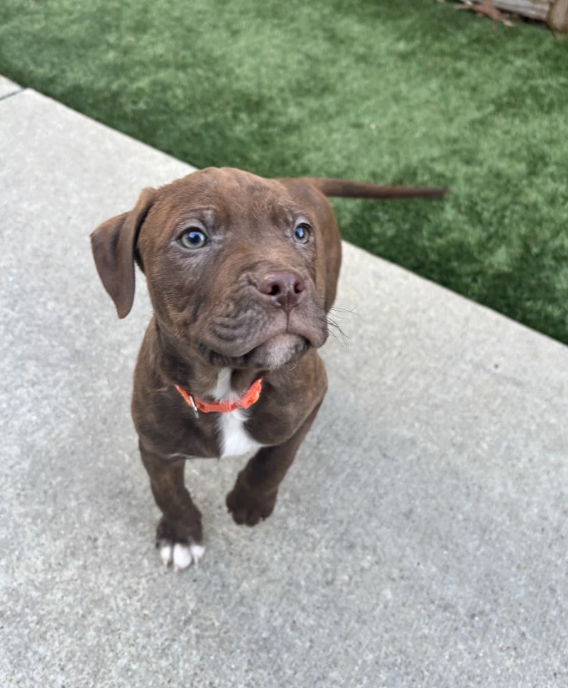 Screenshot 2026-02-06 at 12.04.16 PM.png