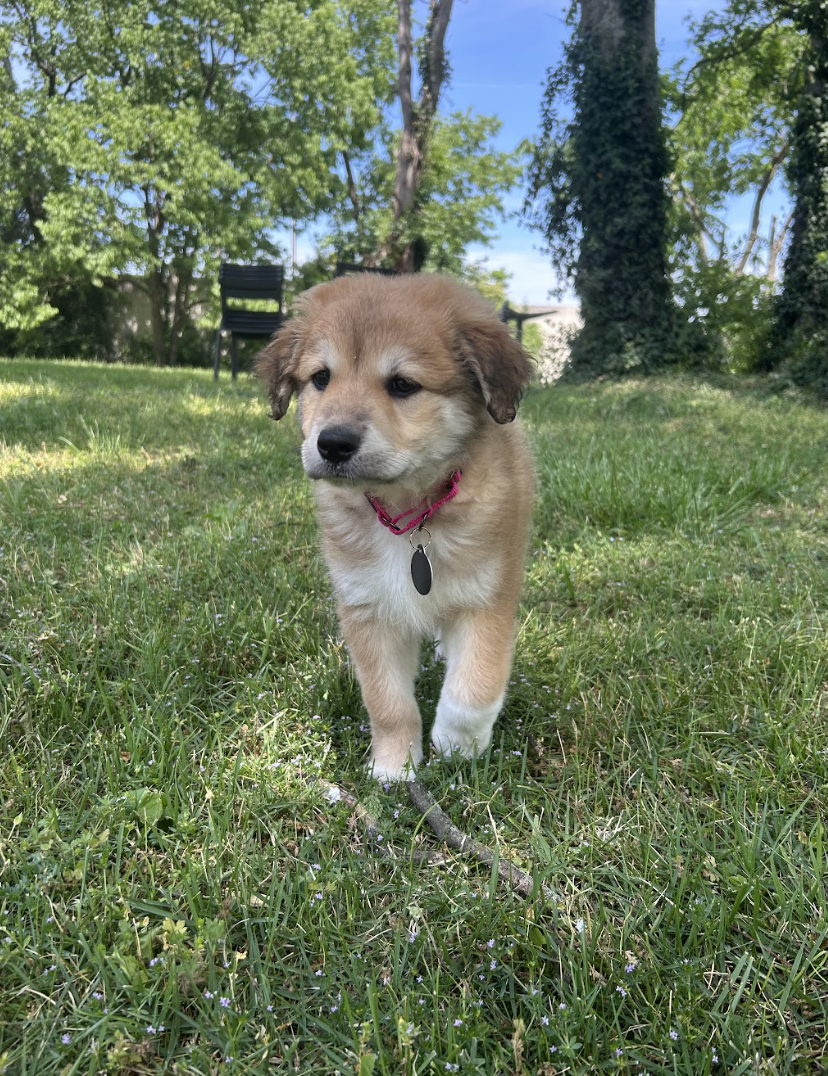 Screenshot 2026-04-23 at 6.46.21 PM.png