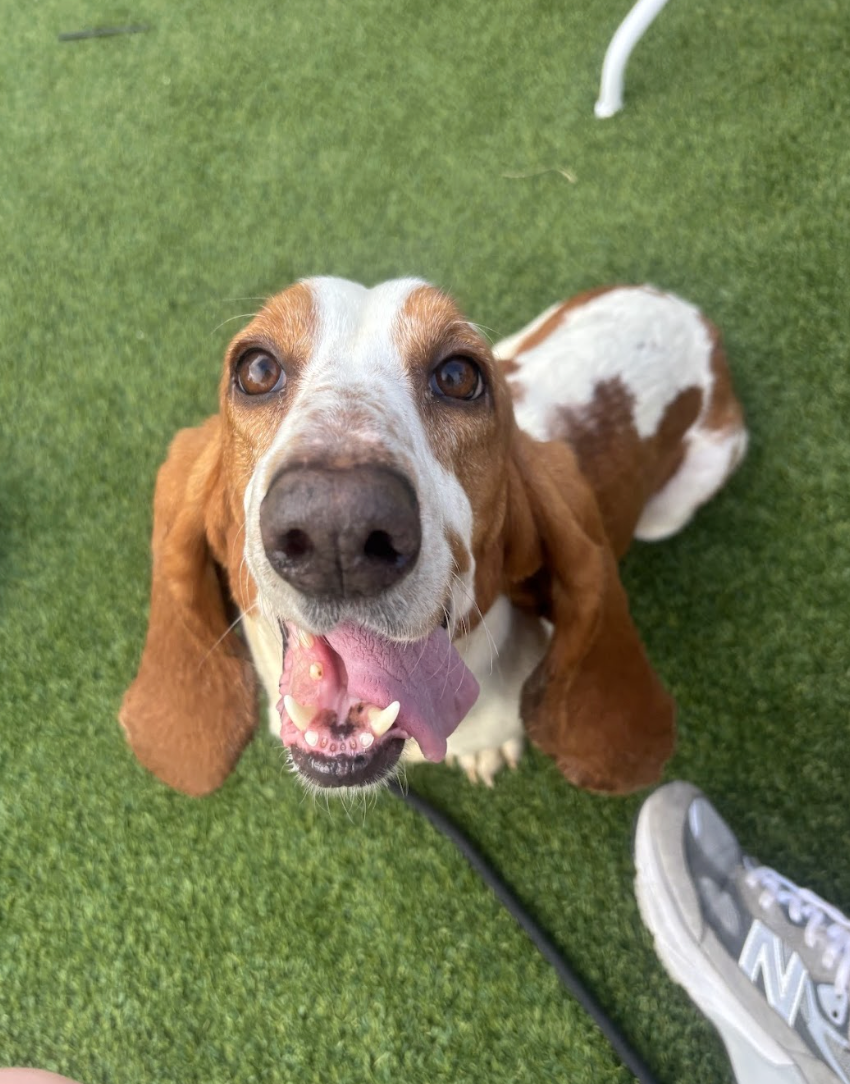 Screenshot 2026-04-13 at 3.22.00 PM.png