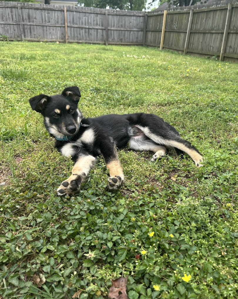 Screenshot 2026-04-29 at 1.51.41 PM.png