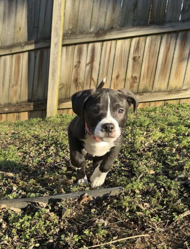 Screenshot 2026-01-14 at 6.21.46 PM.png