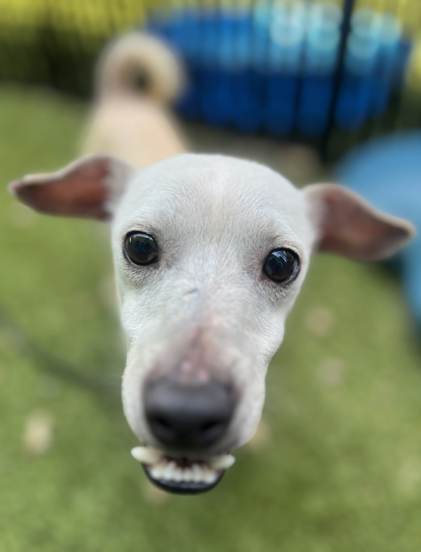 Screenshot 2026-04-21 at 1.54.29 PM.png