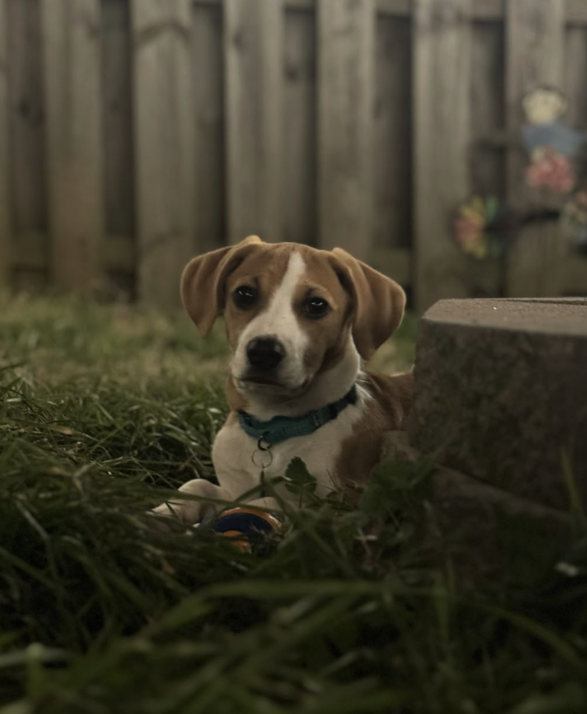 Screenshot 2026-02-13 at 1.28.07 PM.png