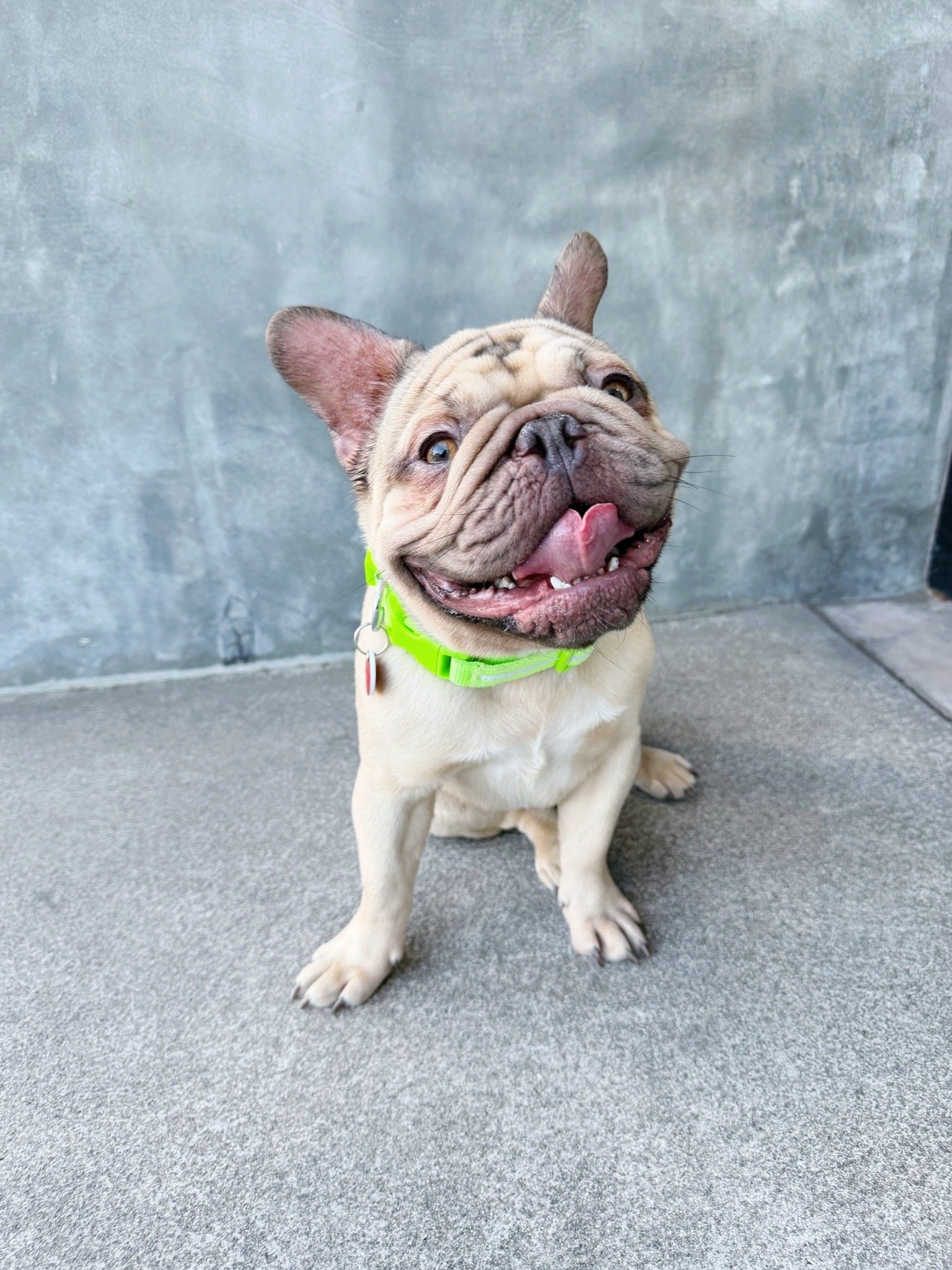 Chubbs