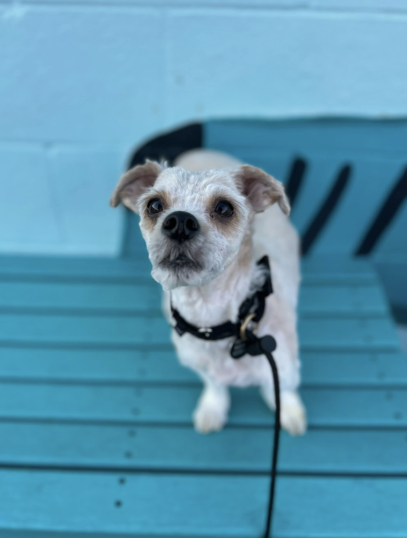 Screenshot 2026-03-14 at 4.55.25 PM.png