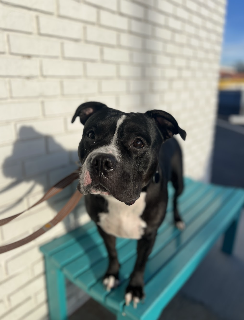 Screenshot 2026-01-09 at 10.27.01 AM.png