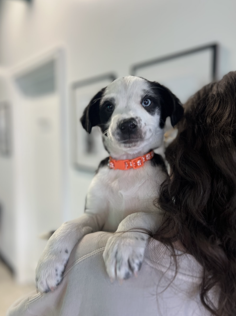 Screenshot 2026-02-06 at 3.40.40 PM.png