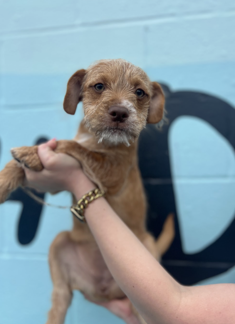 Screenshot 2026-03-05 at 2.34.56 PM.png