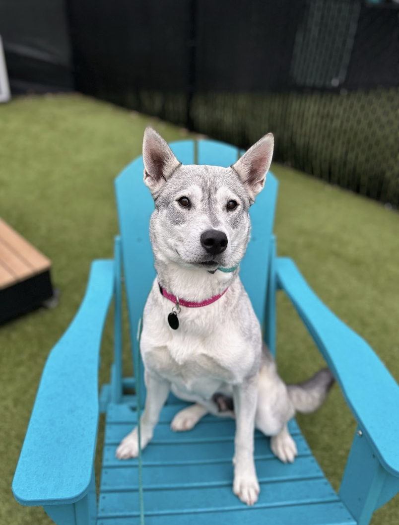 Screenshot 2026-03-11 at 6.39.50 PM.png