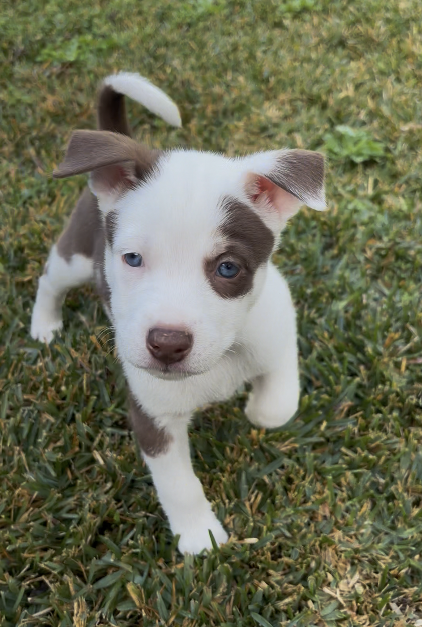 Screenshot 2026-02-17 at 6.05.25 PM.png