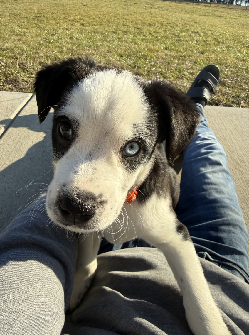 Screenshot 2026-02-20 at 3.48.44 PM.png