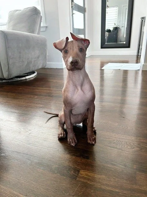 Pinky