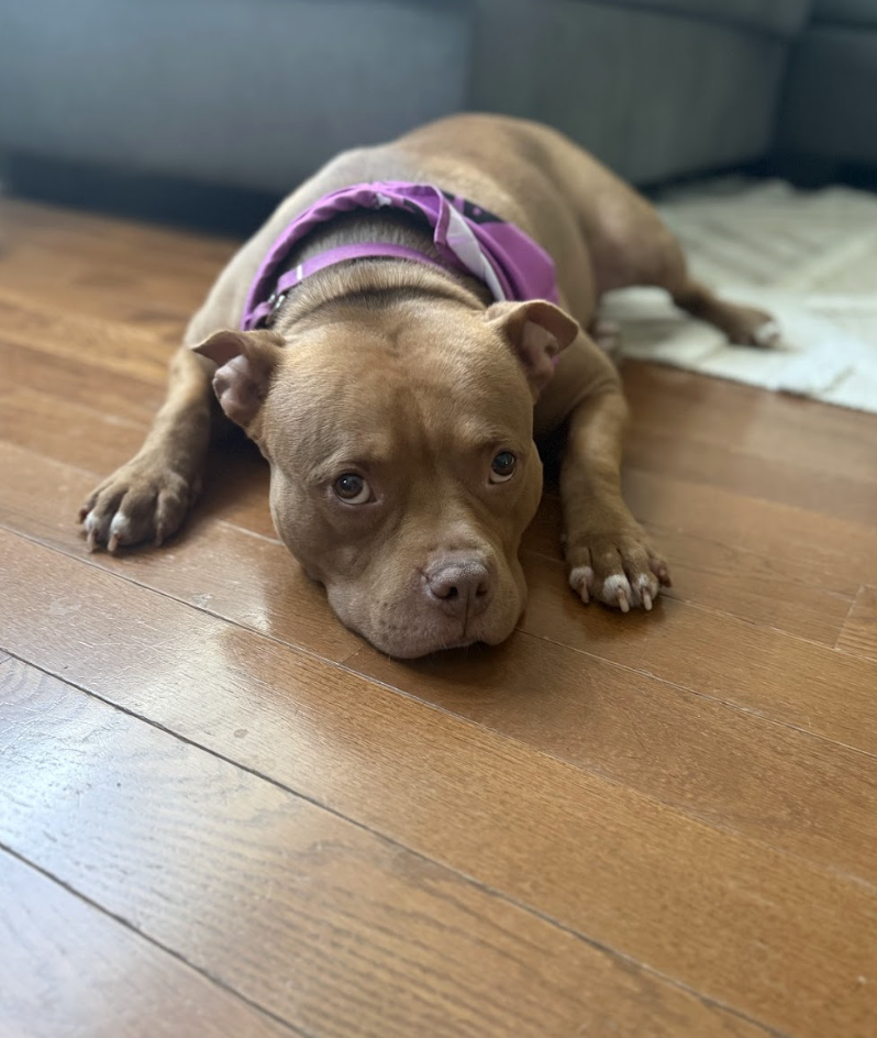 Screenshot 2026-04-22 at 5.56.45 PM.png