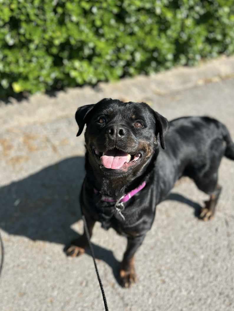 Screenshot 2026-04-23 at 1.54.43 PM.png