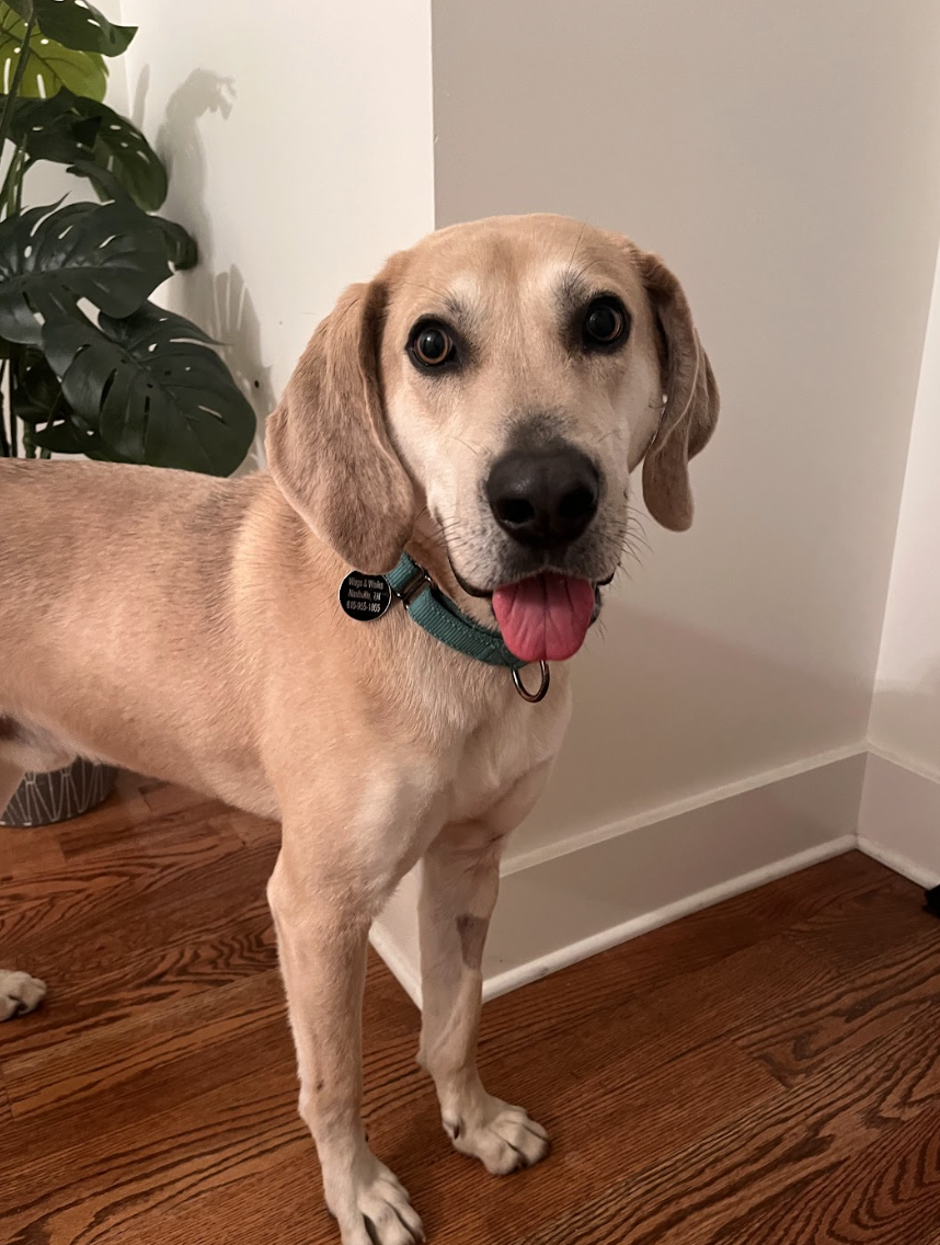 Screenshot 2026-03-19 at 4.12.49 PM.png