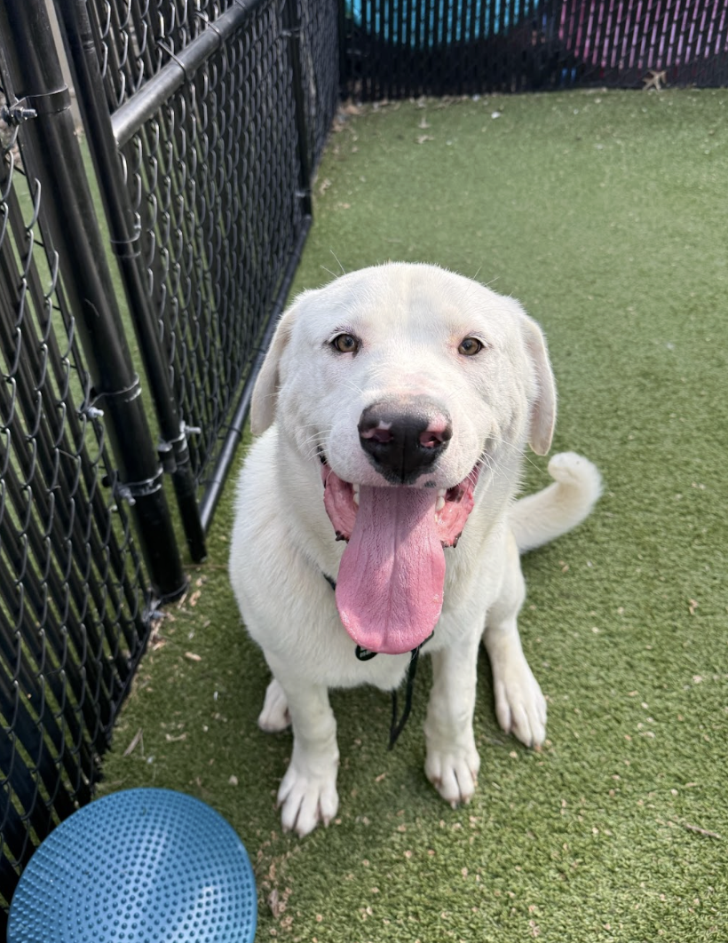 Screenshot 2026-04-09 at 6.47.51 PM.png