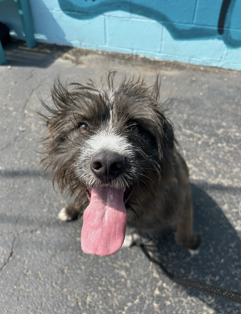 Screenshot 2026-03-26 at 2.29.39 PM.png