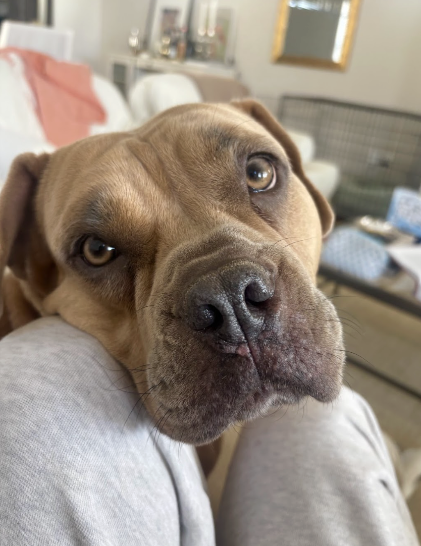 Screenshot 2026-02-26 at 2.25.18 PM.png